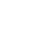fas logo fas logo