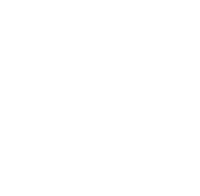 script writing icon script writing icon
