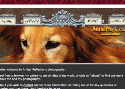 Amber Reflections Website
