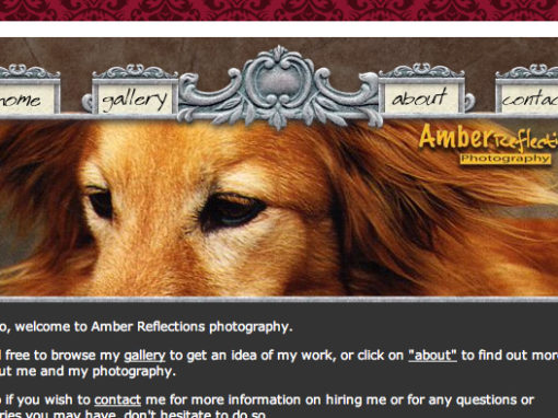 Amber Reflections Website Amber Reflections Website