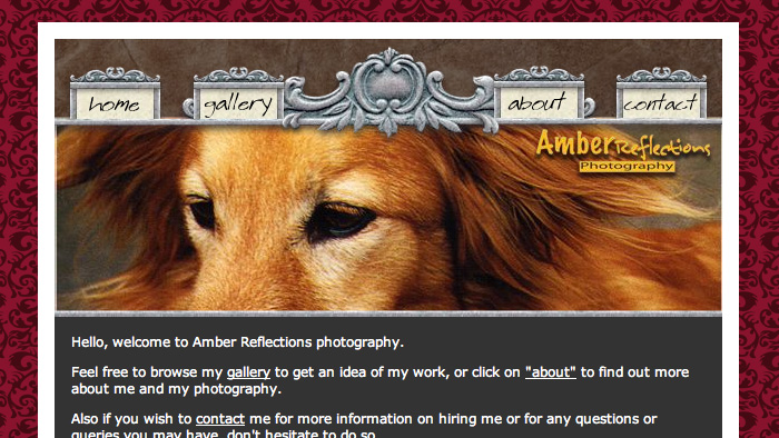 amber reflections amber reflections
